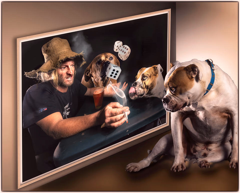 Canine, photograph by Fred King