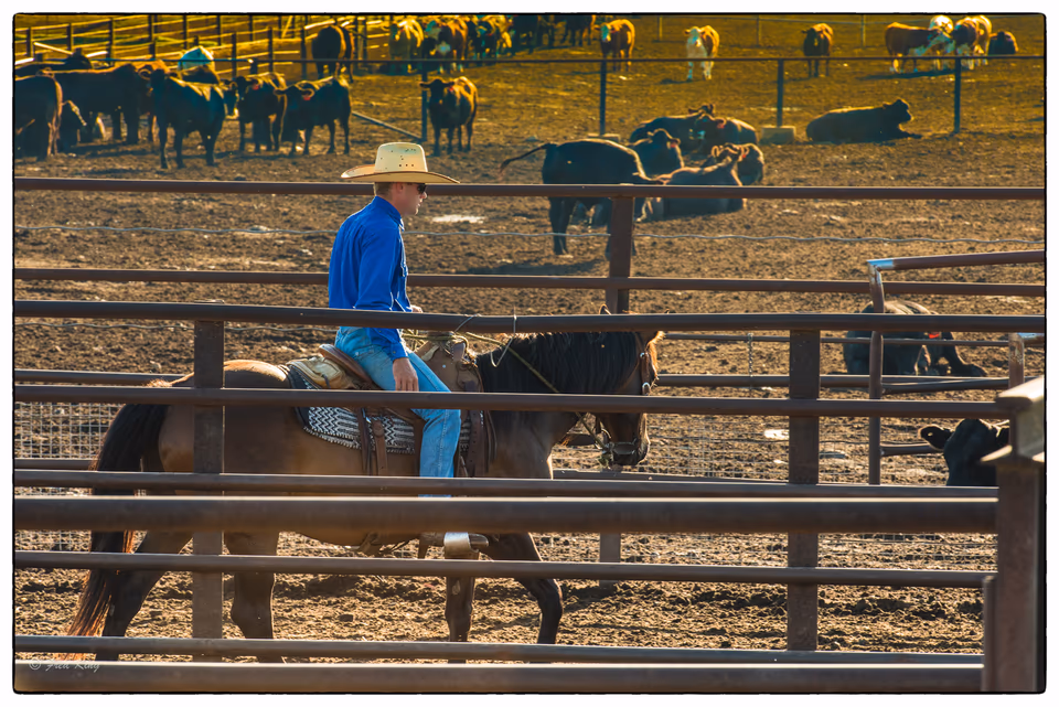 Quirindi