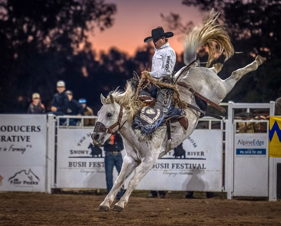 Equine, photograph by Fred King