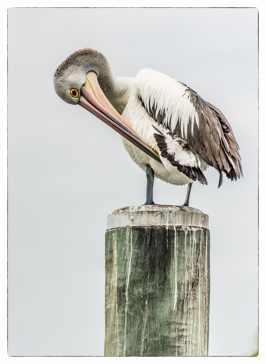 Port Stephens