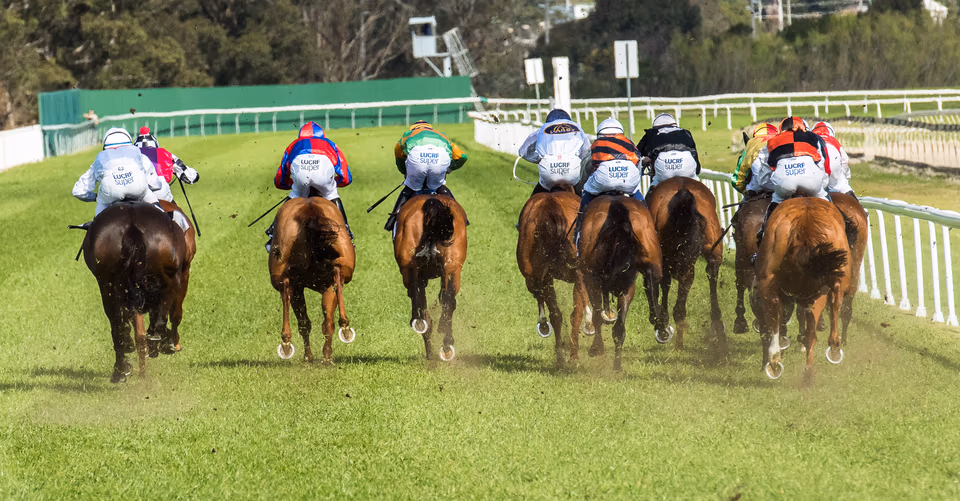 Haweksbury Races Probus