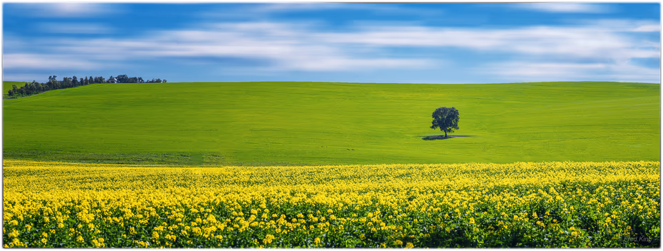 Colour Landscape & Waterscapes, photograph by Fred King