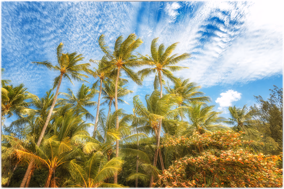 Colour Landscape & Waterscapes, photograph by Fred King