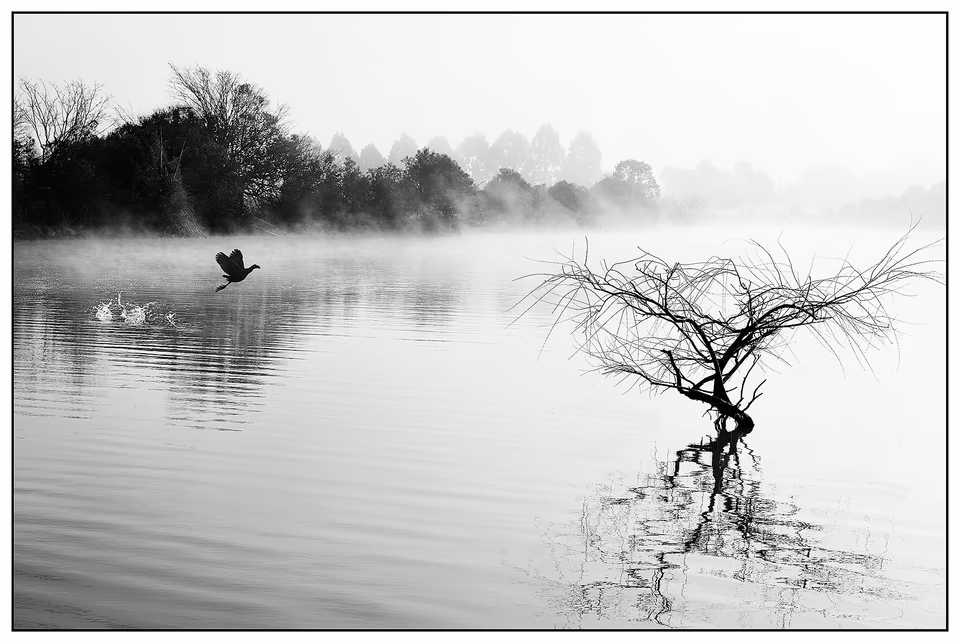 Mono Landscape & Seascape, photograph by Fred King