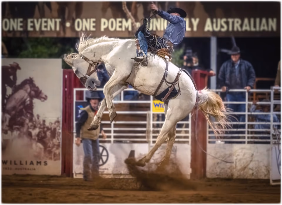 Equine, photograph by Fred King