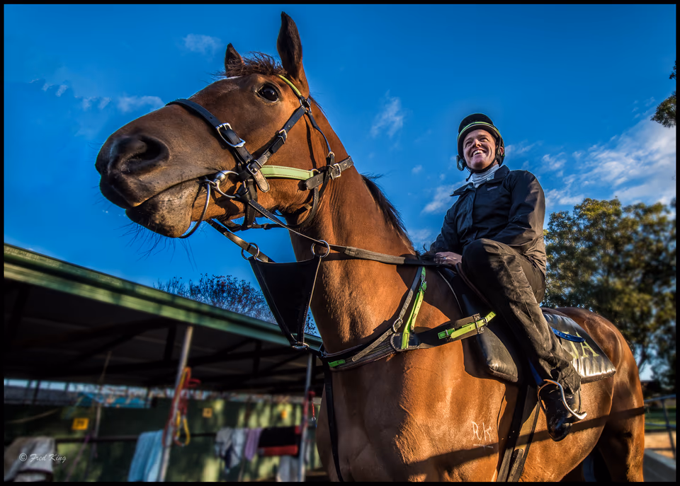 Richmond horses