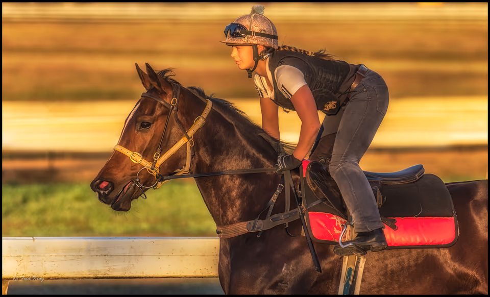 Richmond horses