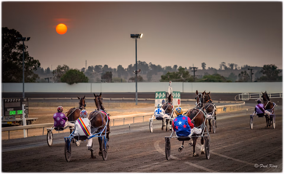 Equine, photograph by Fred King