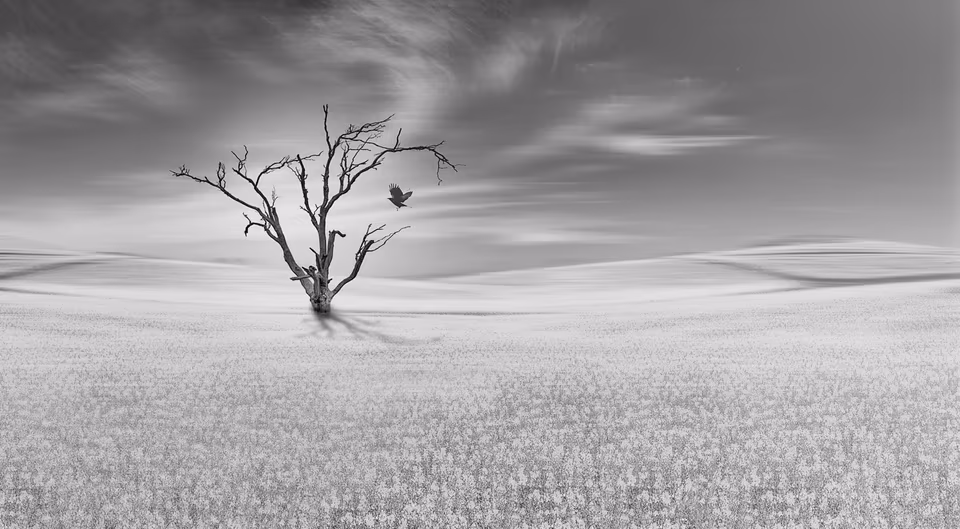 Mono Landscape & Seascape, photograph by Fred King