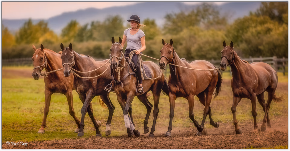 Equine, photograph by Fred King