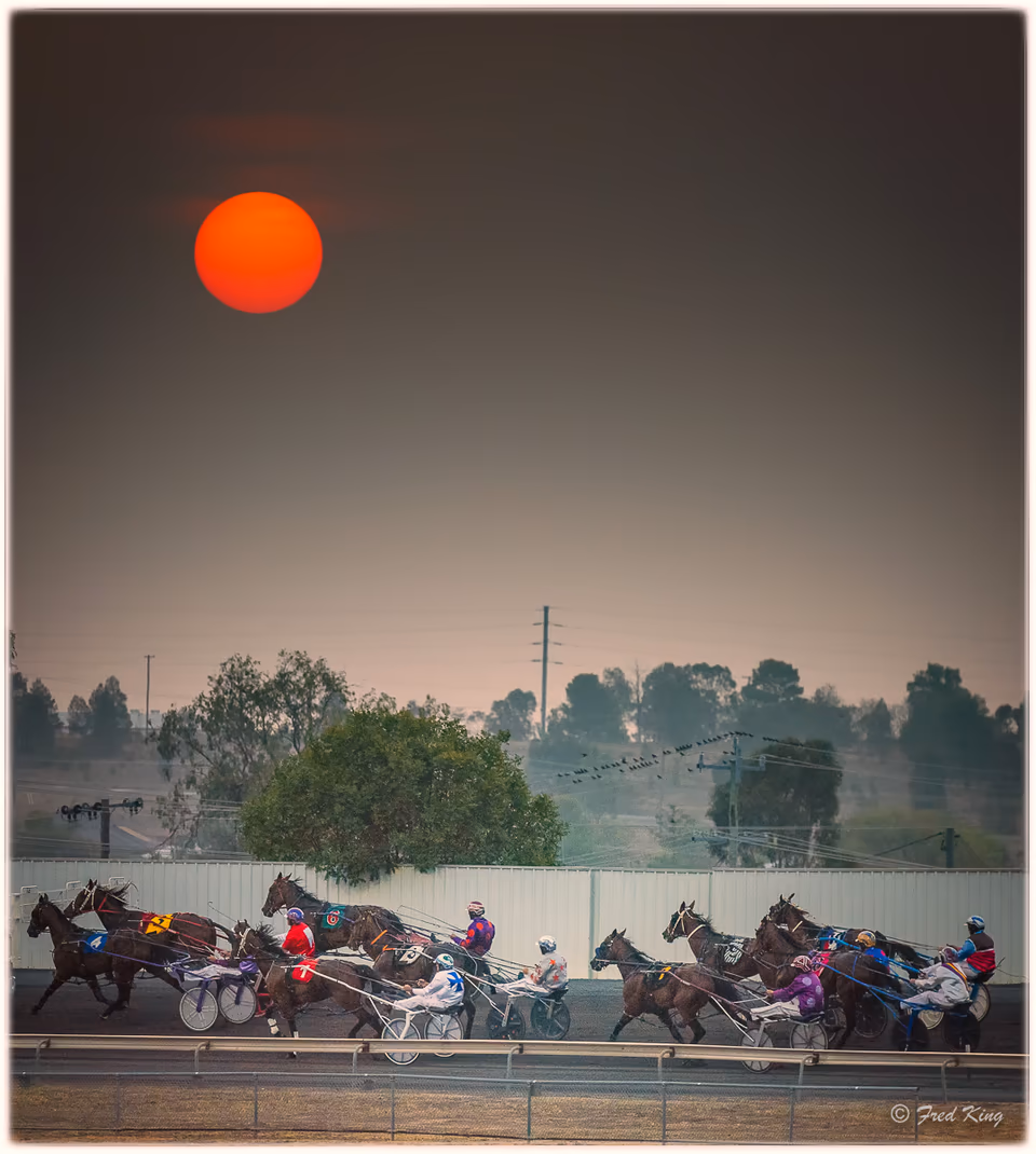 Equine, photograph by Fred King