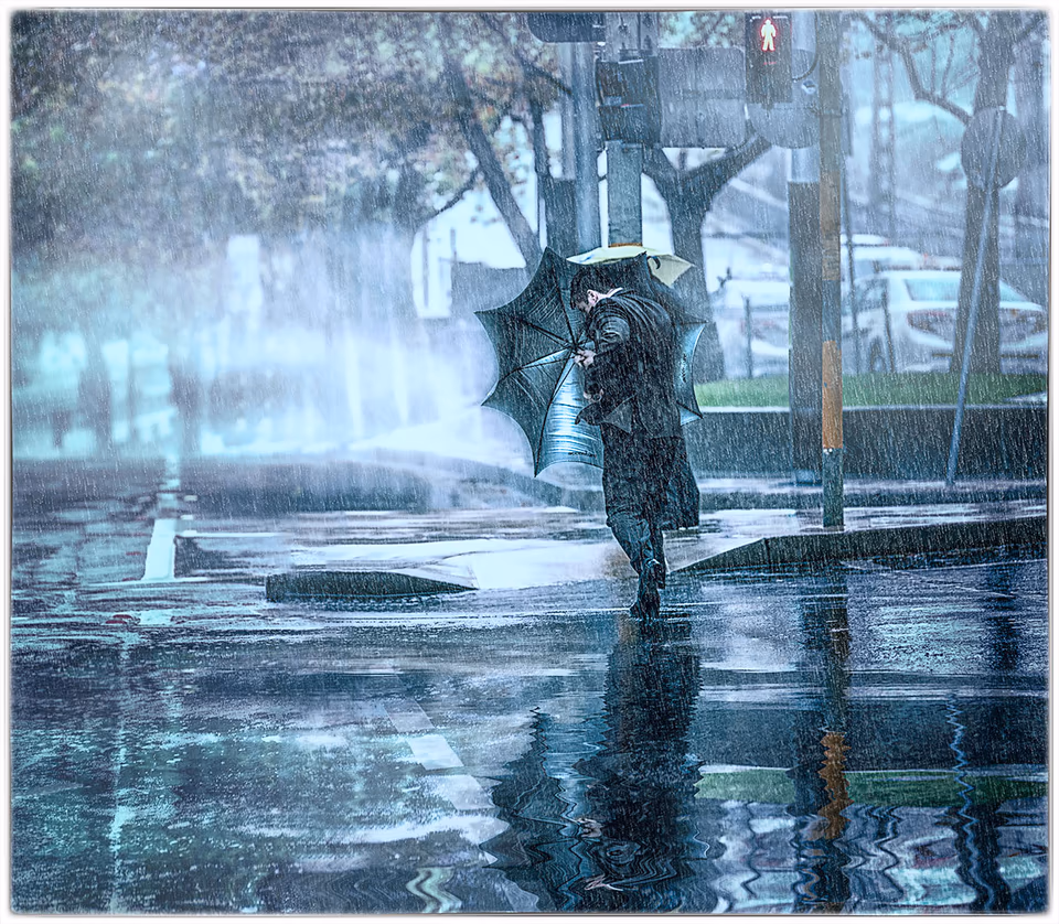 North Sydney umbrella