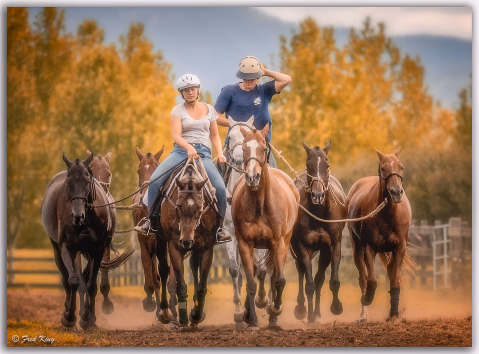 Equine, photograph by Fred King