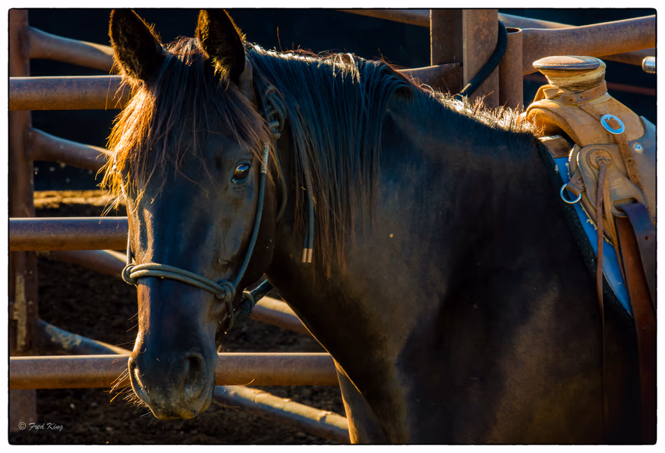 Quirindi