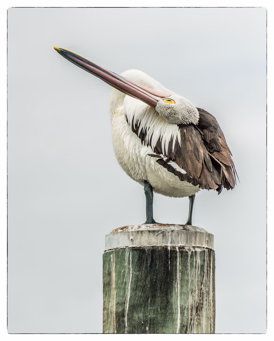 Port Stephens
