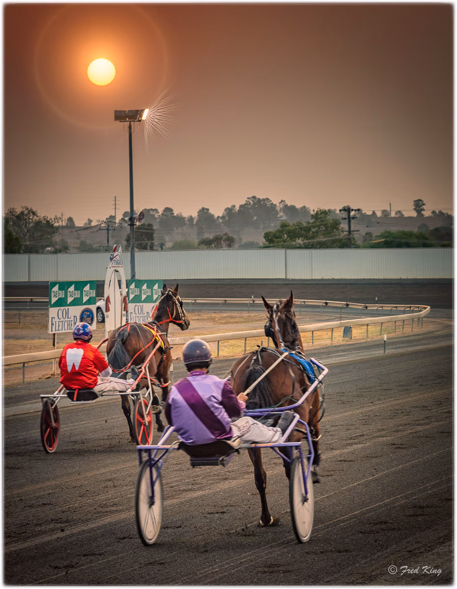 Equine, photograph by Fred King
