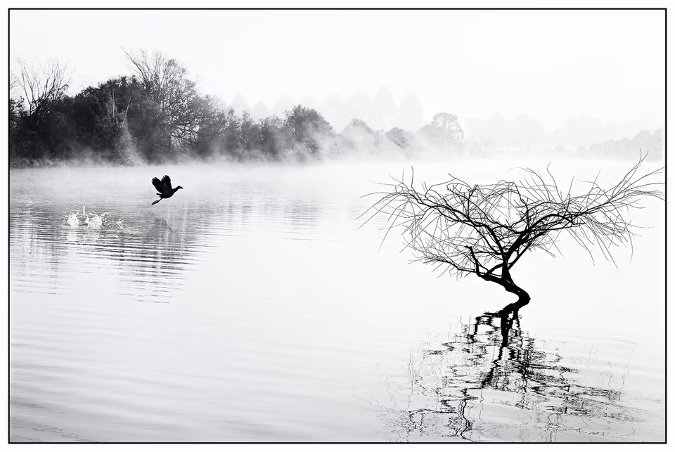 Pughs Lagoon