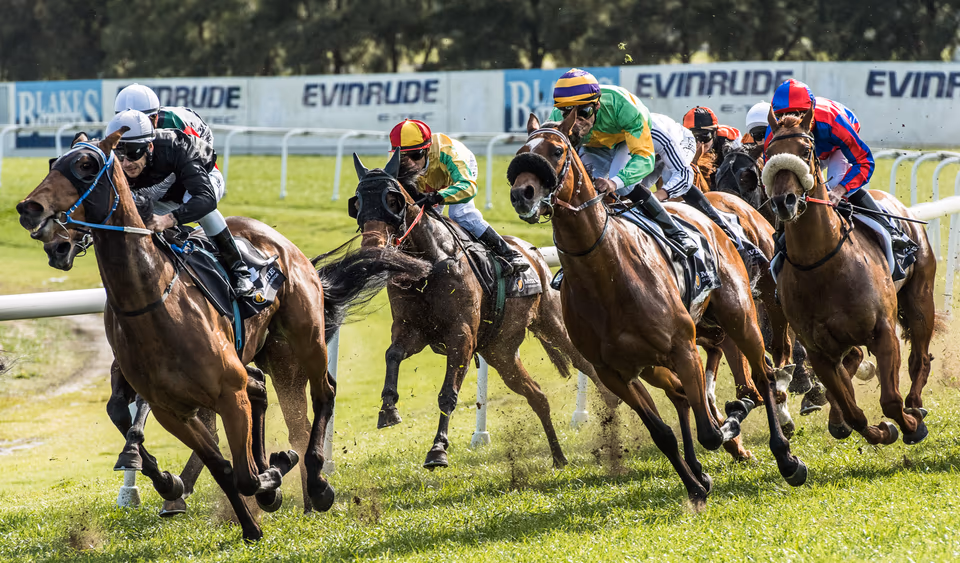 Haweksbury Races Probus