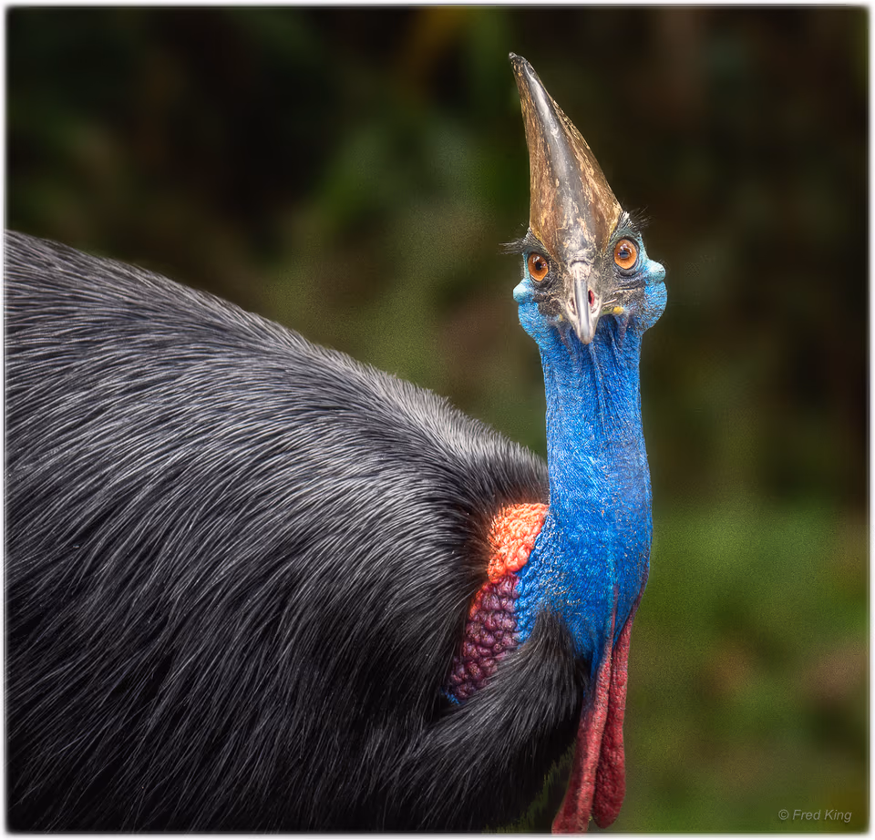 Macro & Close-ups, photograph by Fred King