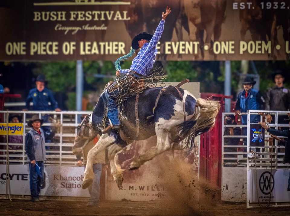Equine, photograph by Fred King
