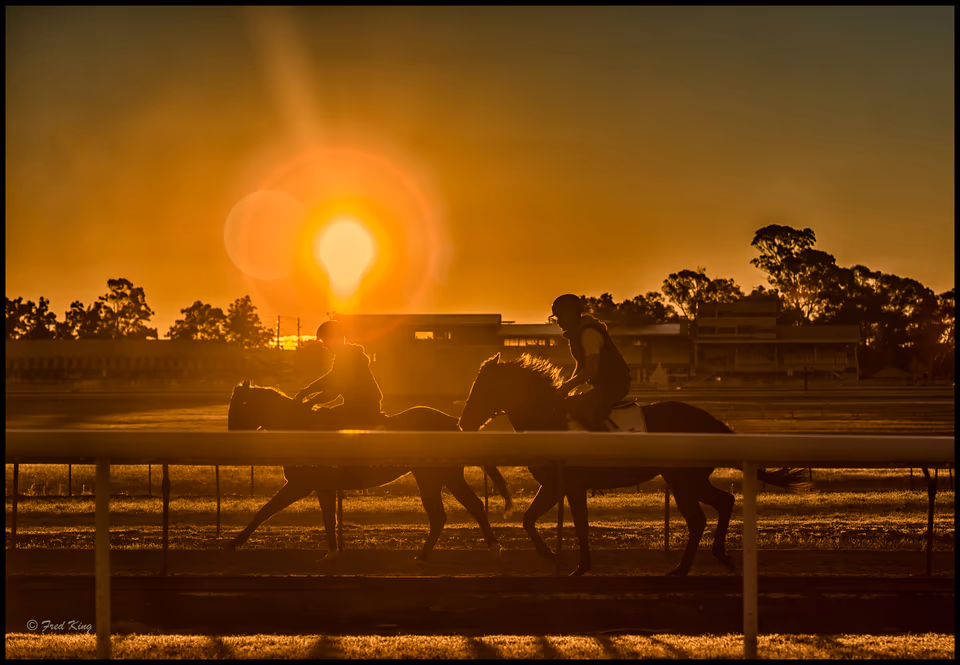 Richmond horses