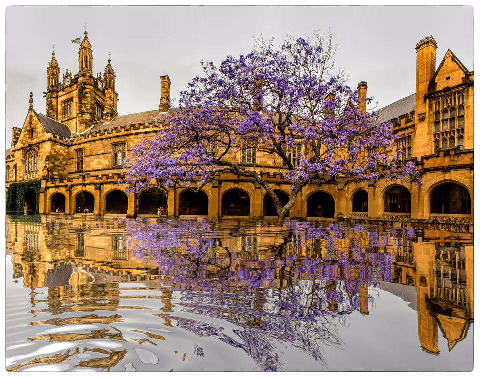 Sydney Uni Quadrangle FLOOD