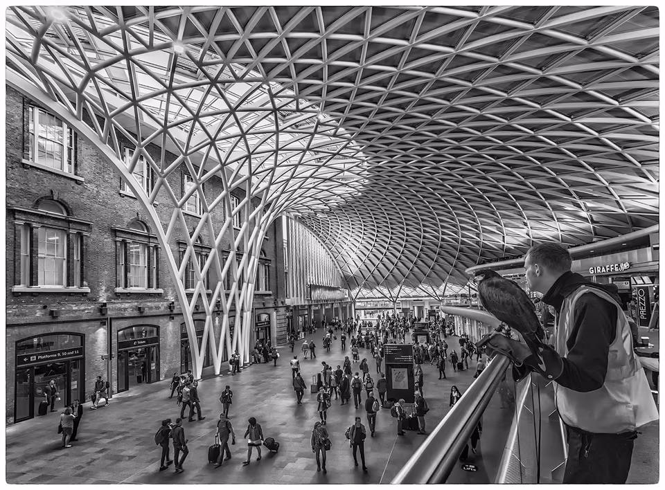 Kings Cross Eagle trainer