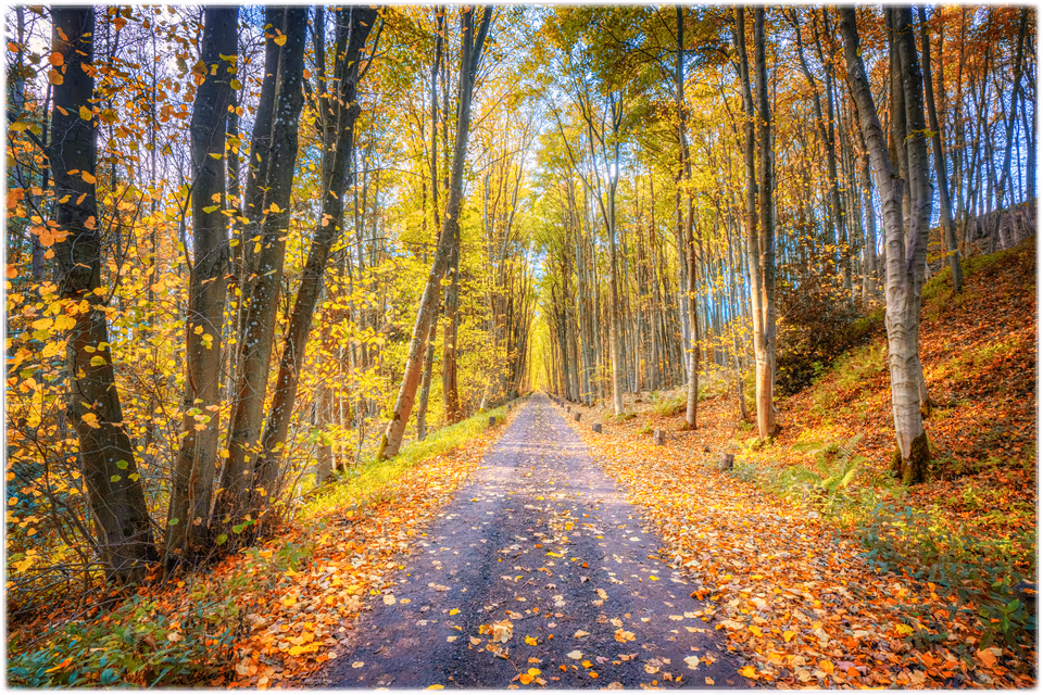 Colour Landscape & Waterscapes, photograph by Fred King