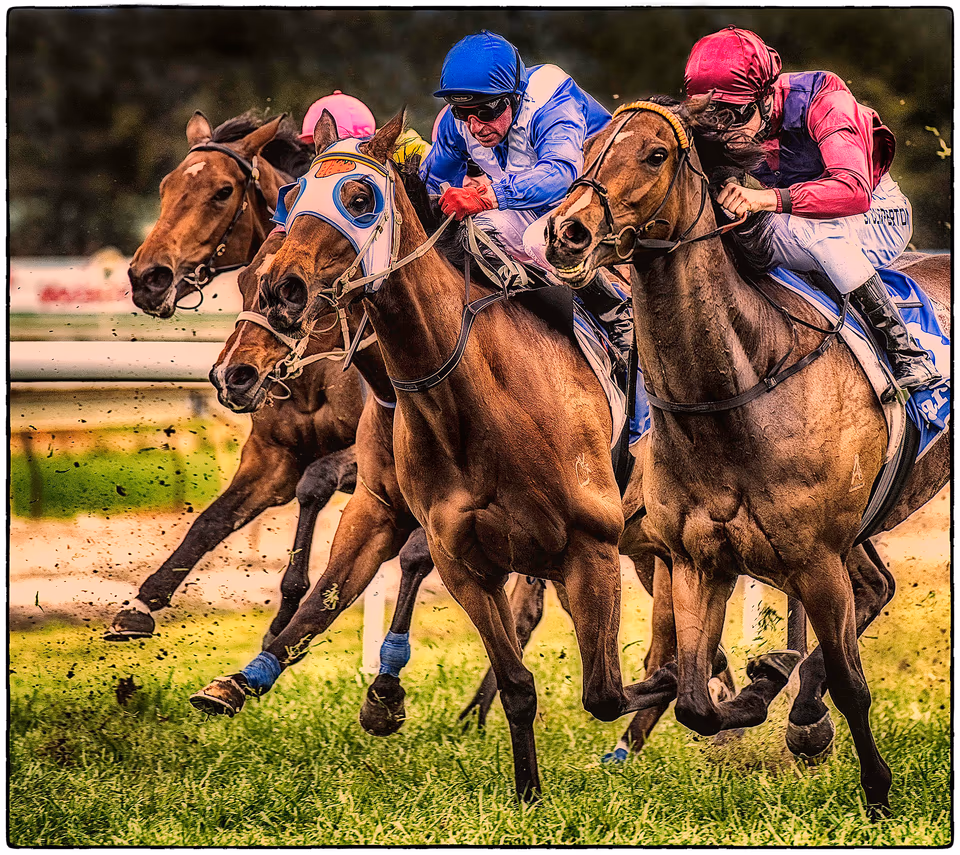 Horse Race