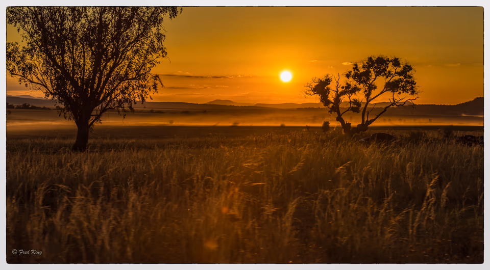 Quirindi