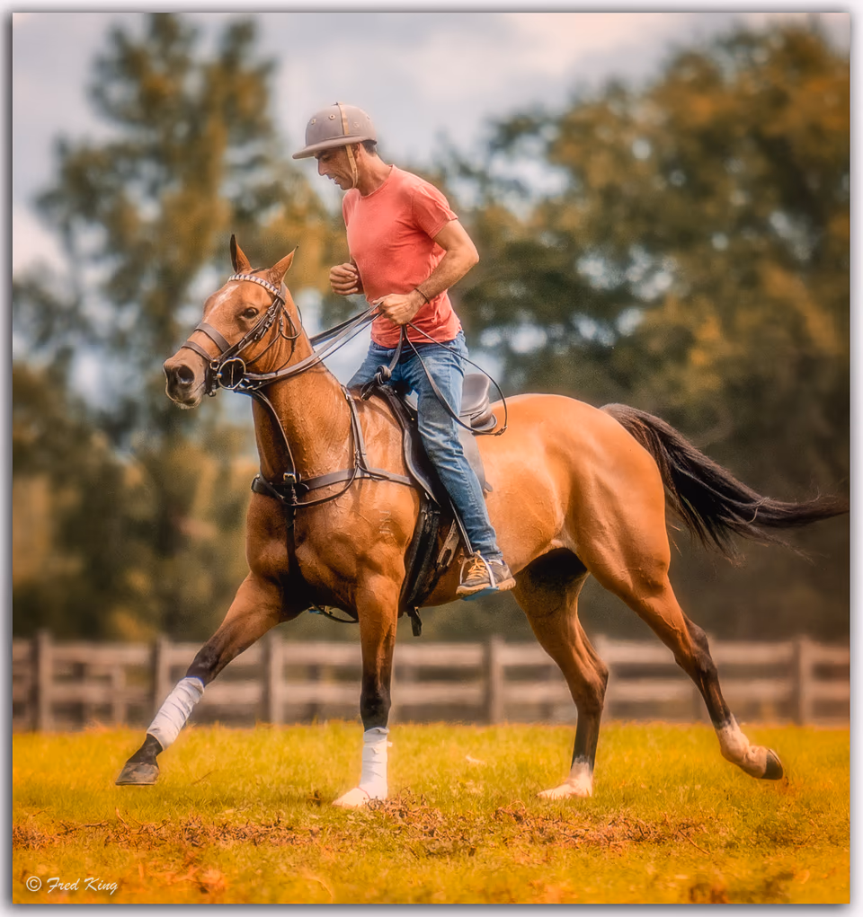 Equine, photograph by Fred King