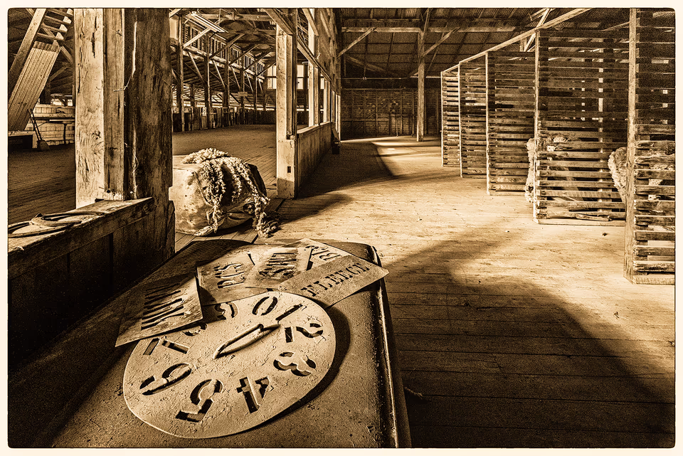 Sheep Sheering Shed