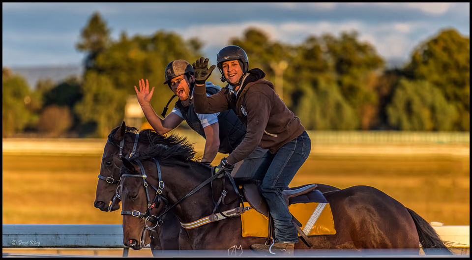 Richmond horses