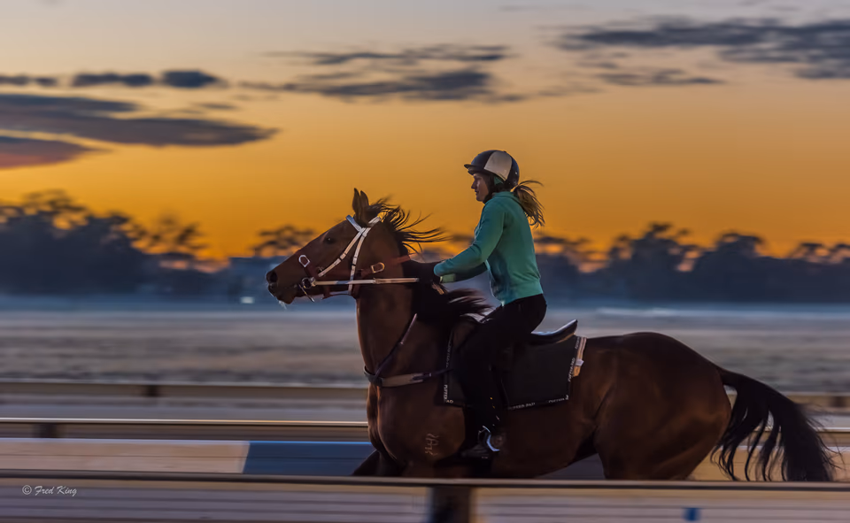 Richmond horses